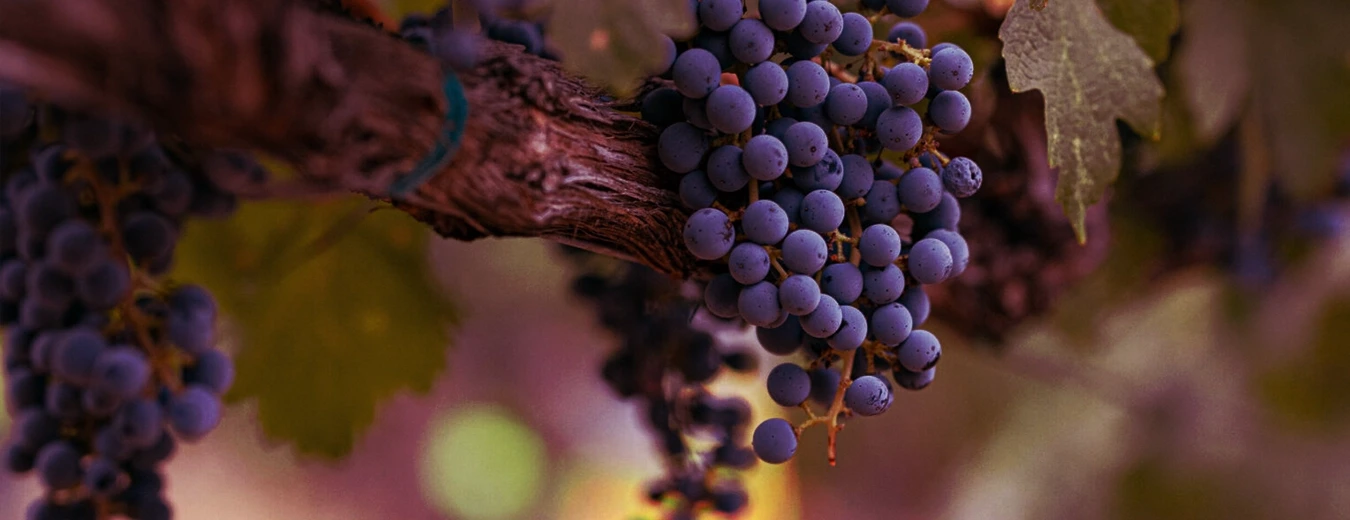 kbl-home-banner-image